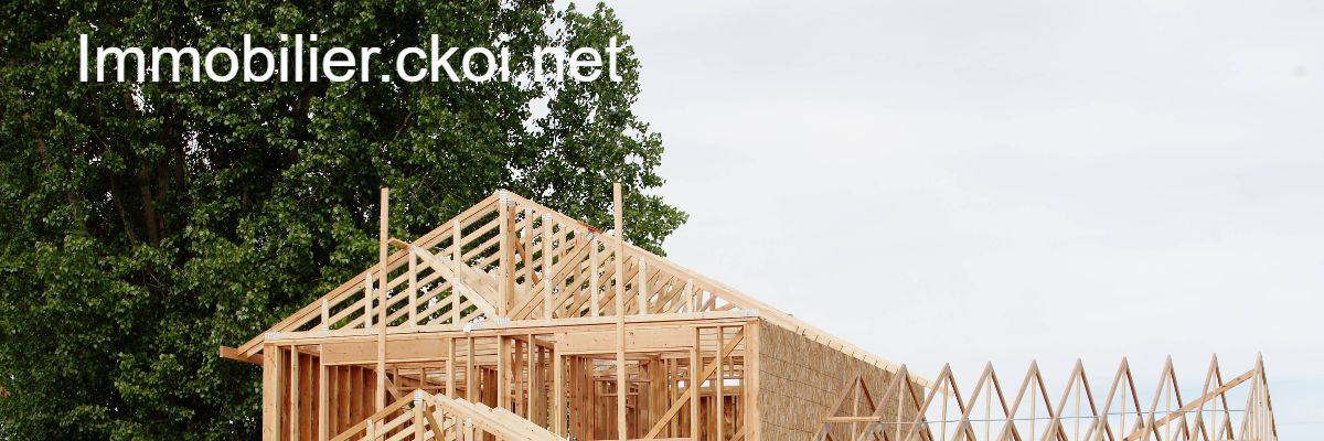 immobilier.ckoi.net